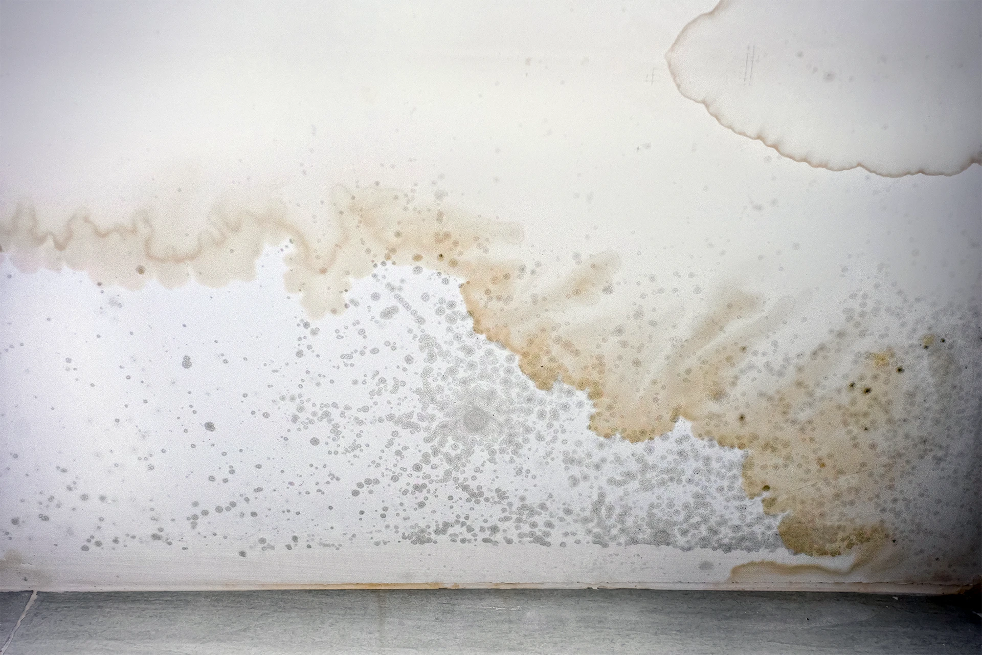 Feuchtigkeitsschaden mit Schimmelbildung und Wasserflecken an einer Innenwand als Hinweis auf notwendige Mauerwerkstrockenlegung.